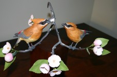 /userimg/R20lL/Cedar Waxwing pair-42006(a).JPG